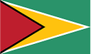 Flag of Guiana