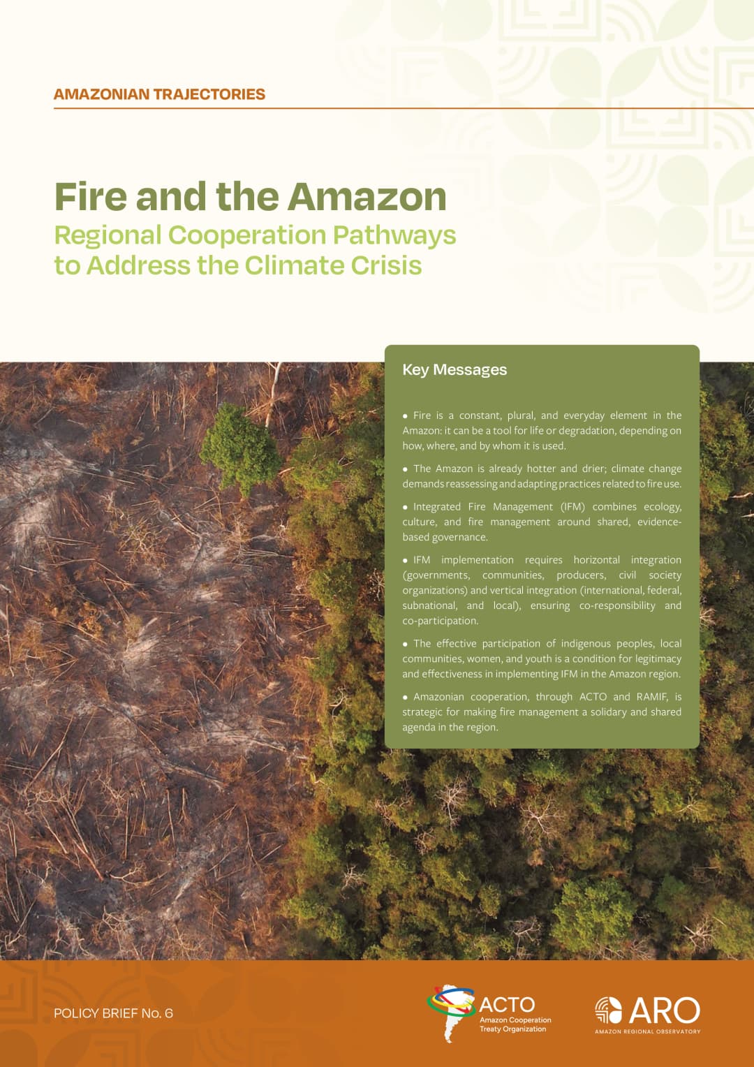Fire and the Amazon