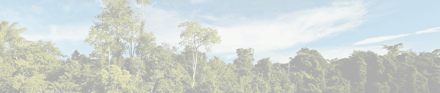 Background image of trees