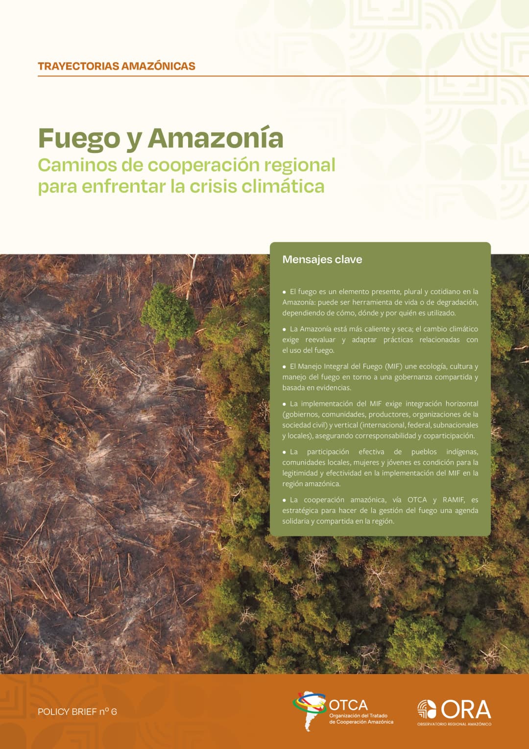 Fuego y la Amazonía